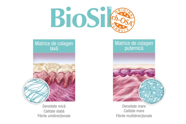 BioSil generator avansat de colagen natural